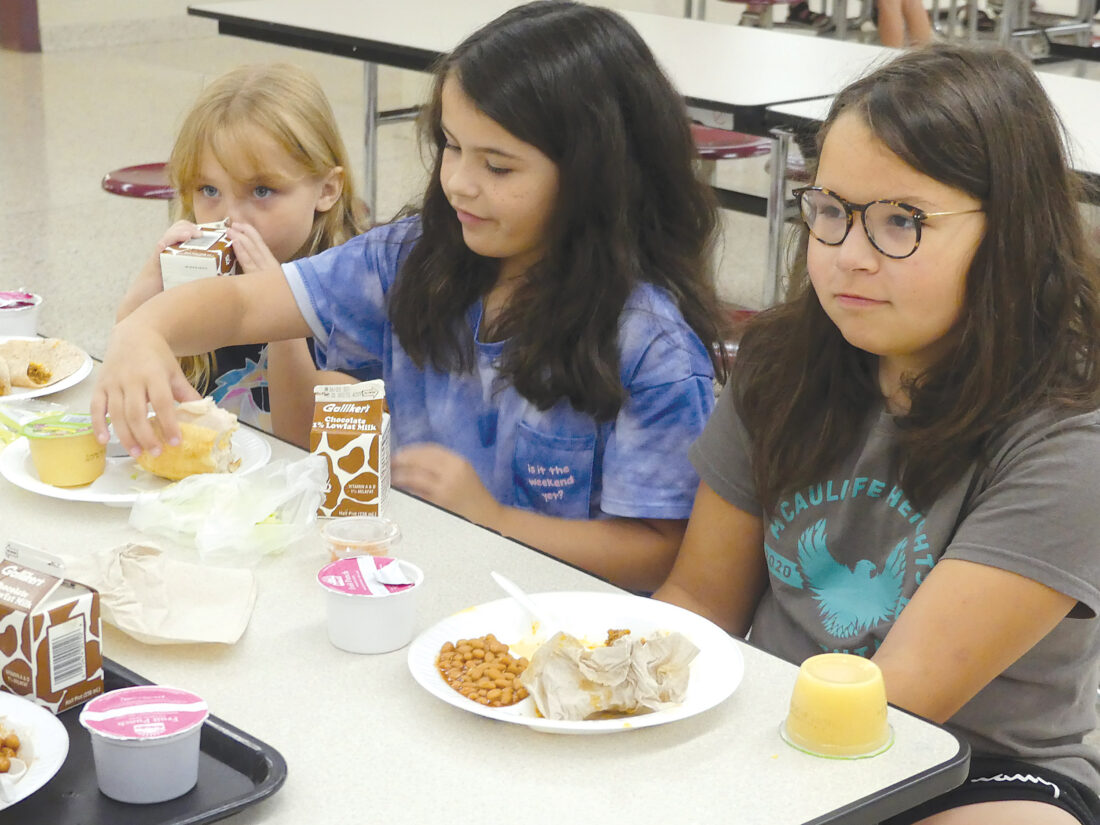 AASD lunch program makes changes | News, Sports, Jobs - Altoona Mirror